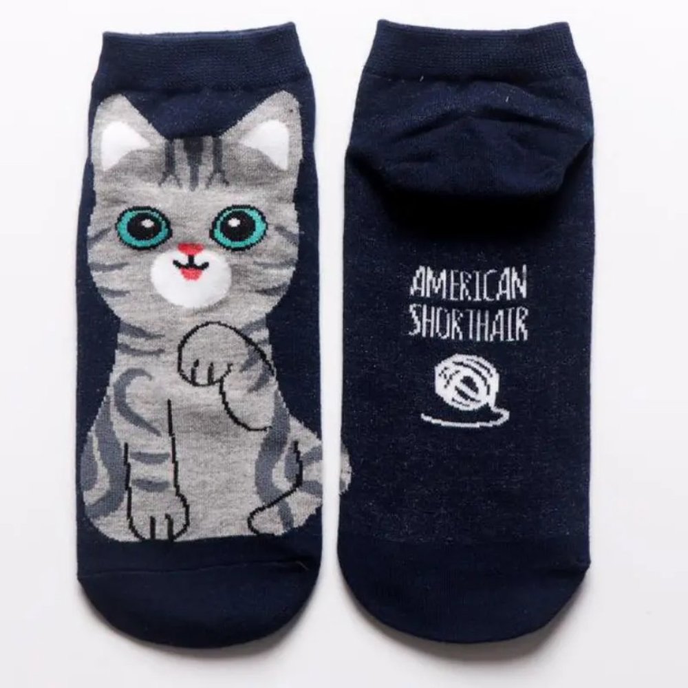 SET OF FIVE PAIR CARTOON CAT FOOTIES NWOT - Picture 4 of 8